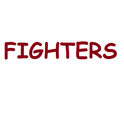 FIGHTERS